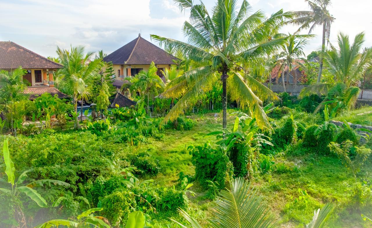 Semujan Bungalow Ubud Dış mekan fotoğraf